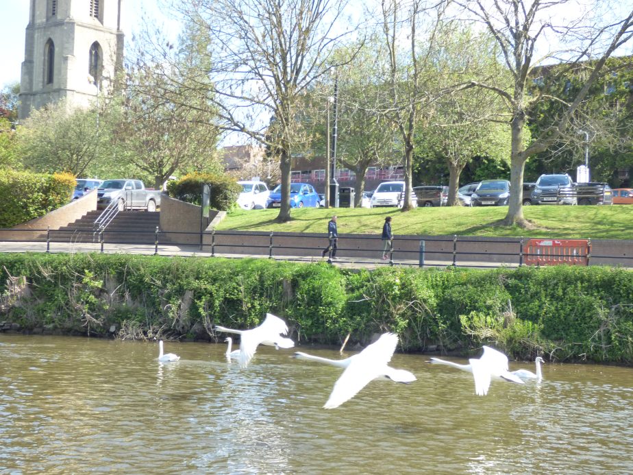 Onto the Worcester & Birmingham Canal